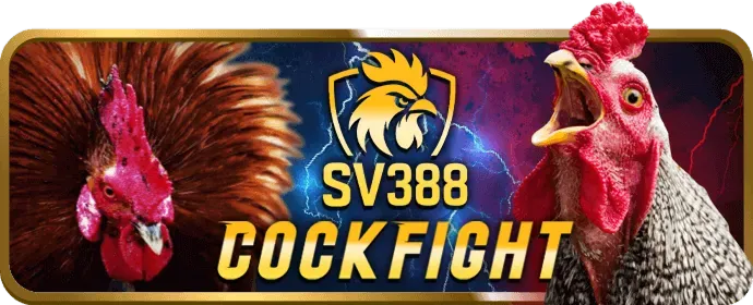 Cá cược thể thao Tiphu88